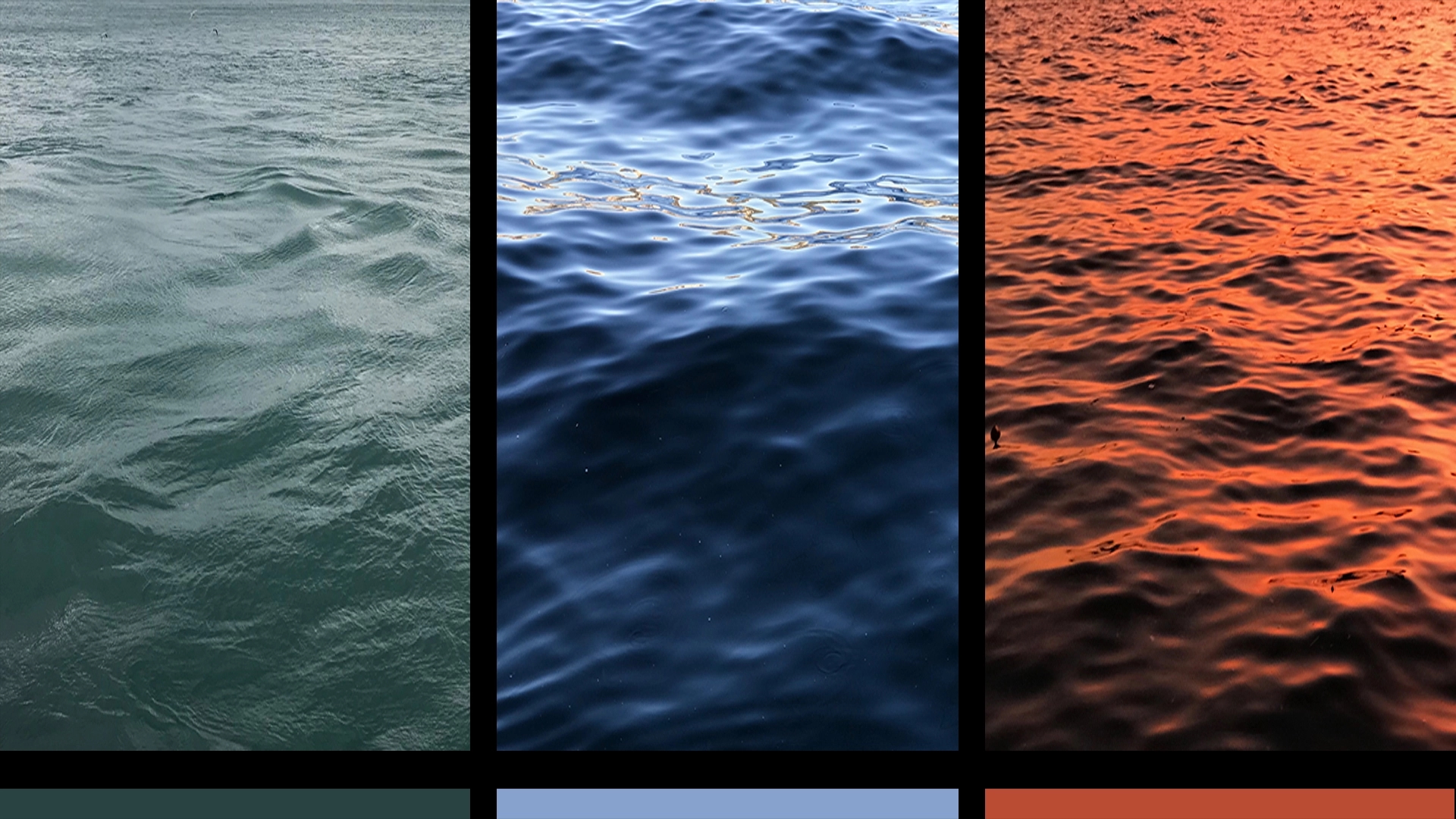 CB-COLOR-.webp