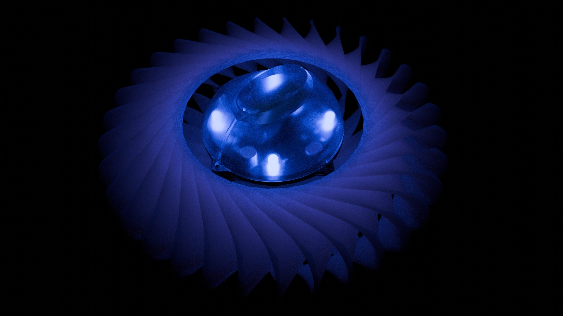 FF-NIGHT-RENDER-2.webp